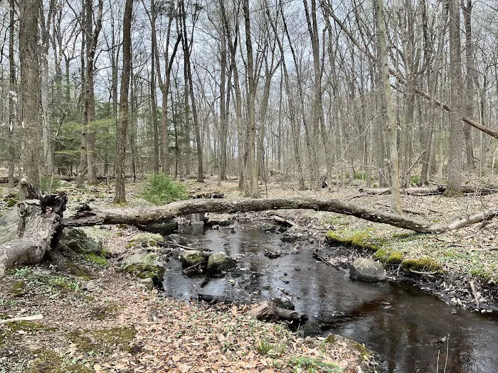 Tourne County Park, Boonton Access Picture 7