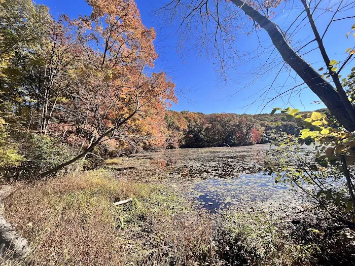 Tourne County Park, Boonton Access Picture 4