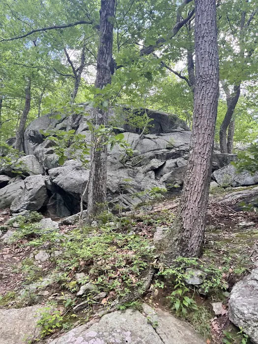 Tourne County Park, Boonton Access Picture 3