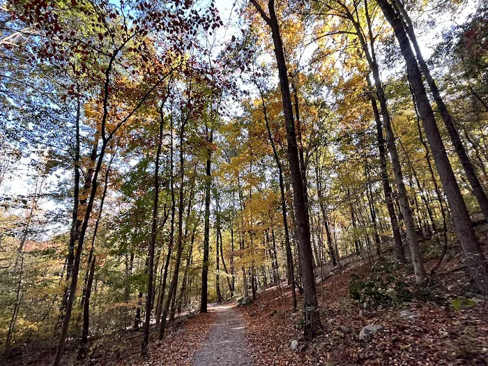Tourne County Park, Boonton Access Picture 10
