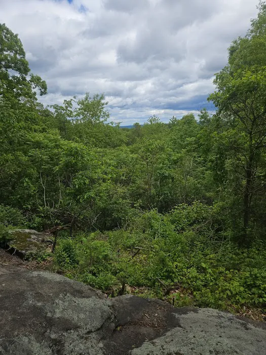 Mountain Top Picture 5