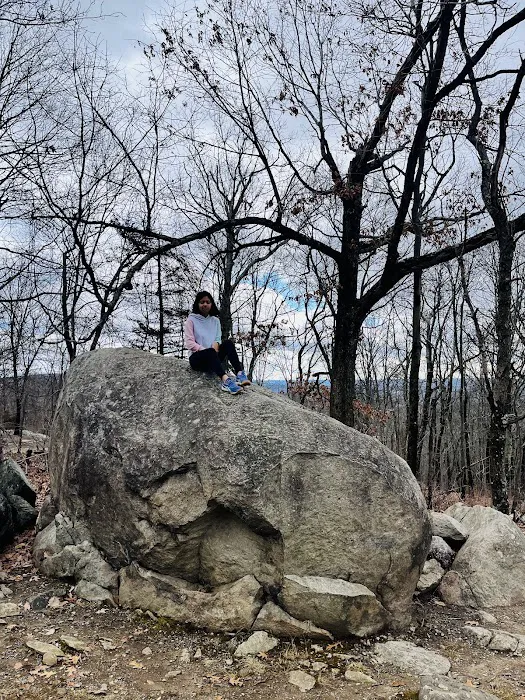 Mountain Top Picture 10