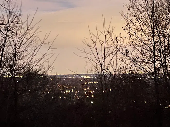 Mountain Top Picture 7