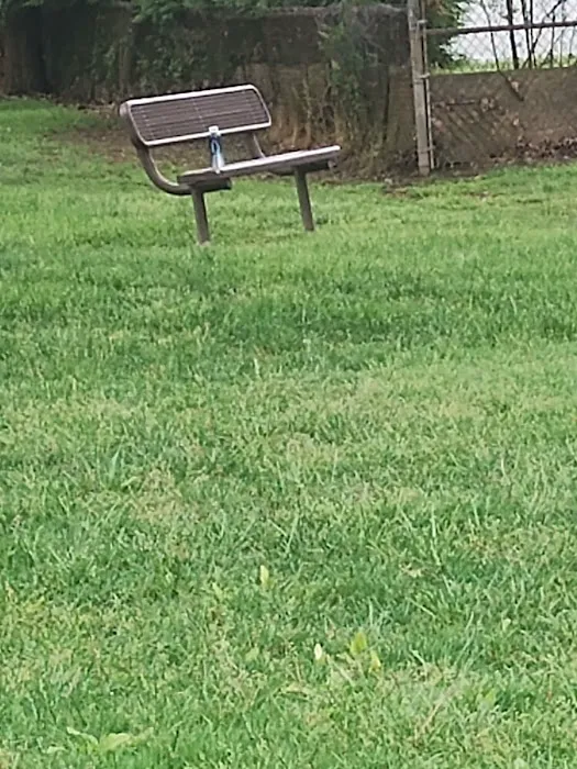 Roe Park Picture 8