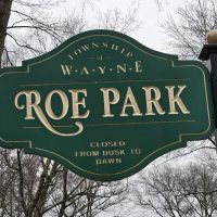 Roe Park ico
