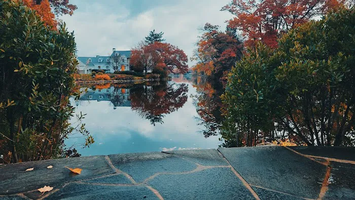 Cove Park Picture 5