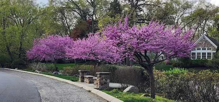 Cove Park Picture 4