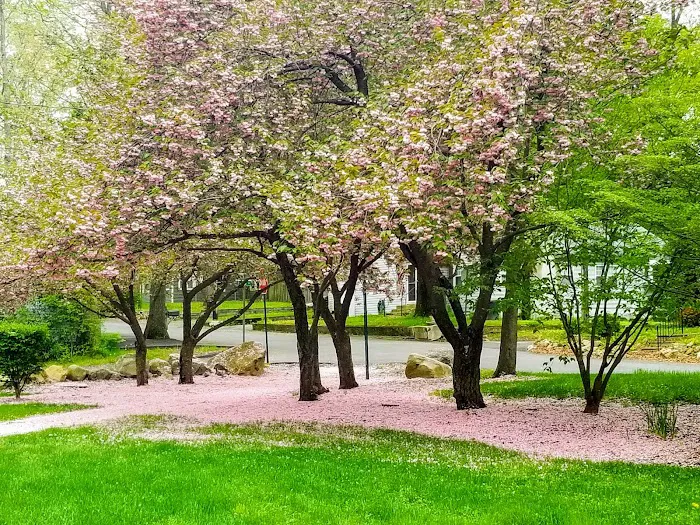 Rainbow Lakes Park Picture 8