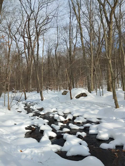 Tourne Park Picture 9