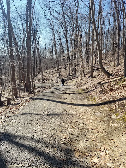 Tourne Park Picture 2