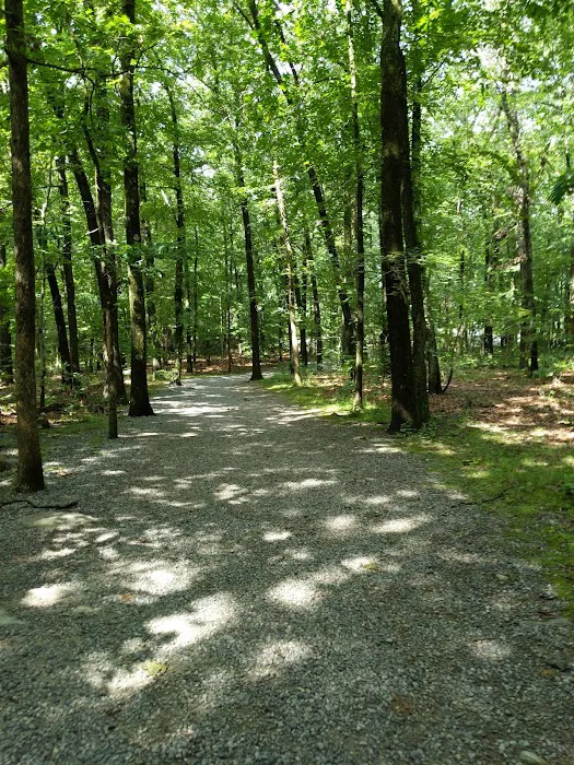 Tourne Park Picture 1
