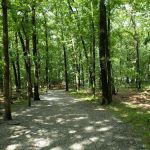 Tourne Park