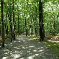 Tourne Park ico