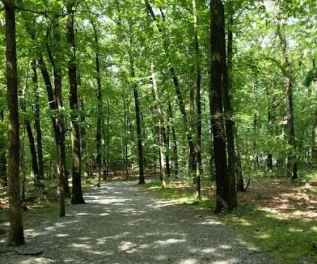 Tourne Park