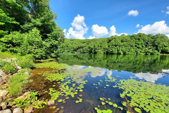 Birchwood Lake Picture 7
