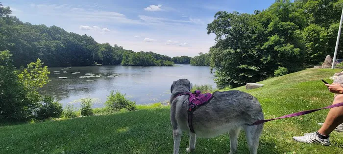 Birchwood Lake Picture 1