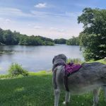 Birchwood Lake