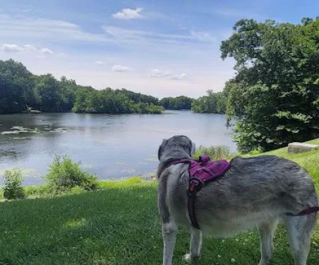 Birchwood Lake