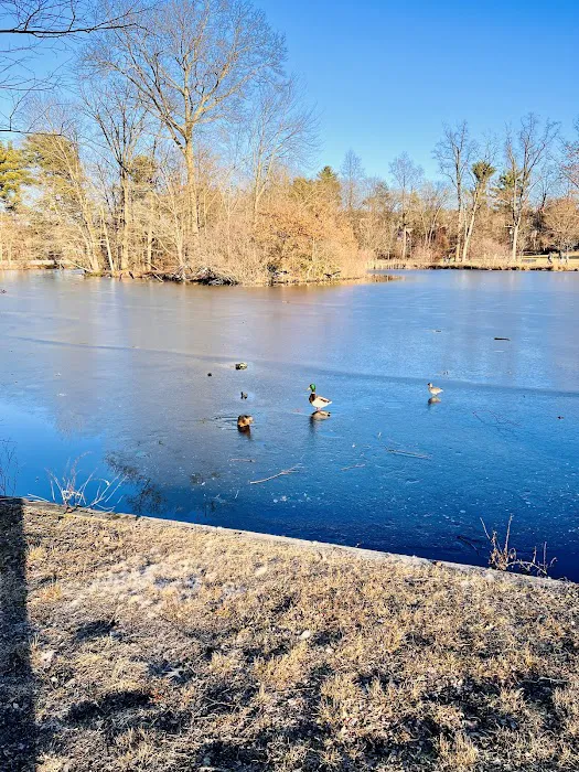 Verona Park Picture 8