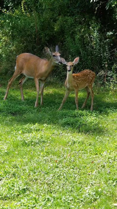 Verona Park Picture 3