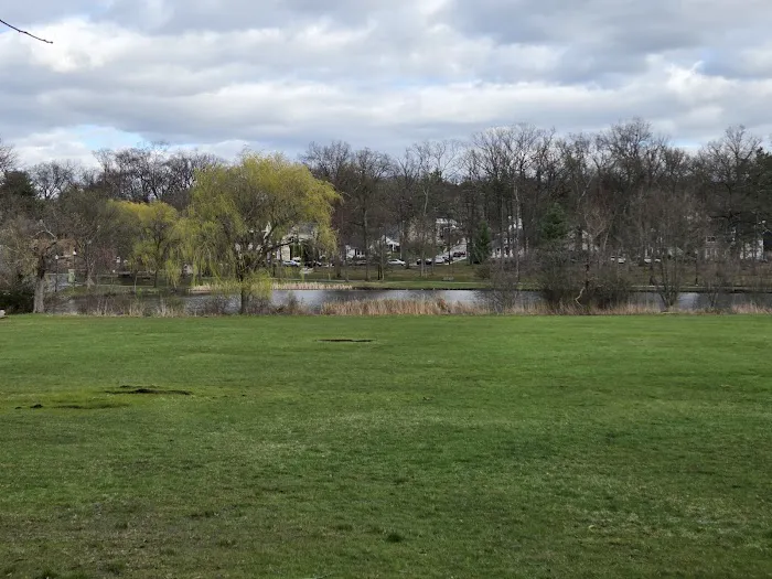 Verona Park Bridge Picture 8