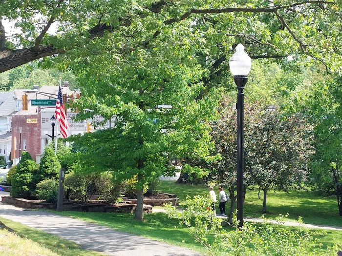 Verona Park Bridge Picture 5