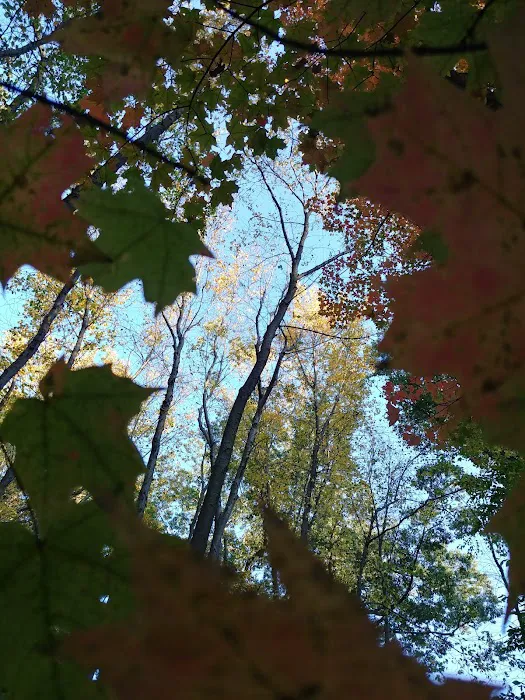 Prospect Park Picture 1
