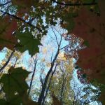 Prospect Park