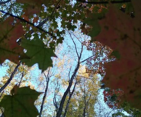Prospect Park