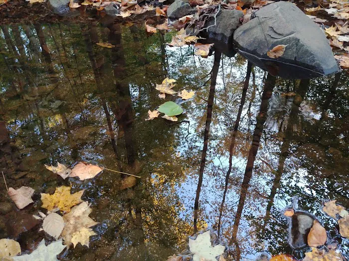 Prospect Park Picture 3