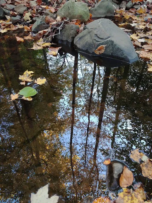 Prospect Park Picture 5