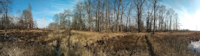 Troy Meadows Picture 1
