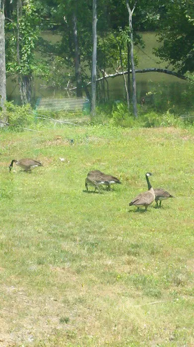 Troy Meadows Nature Preserve Picture 4