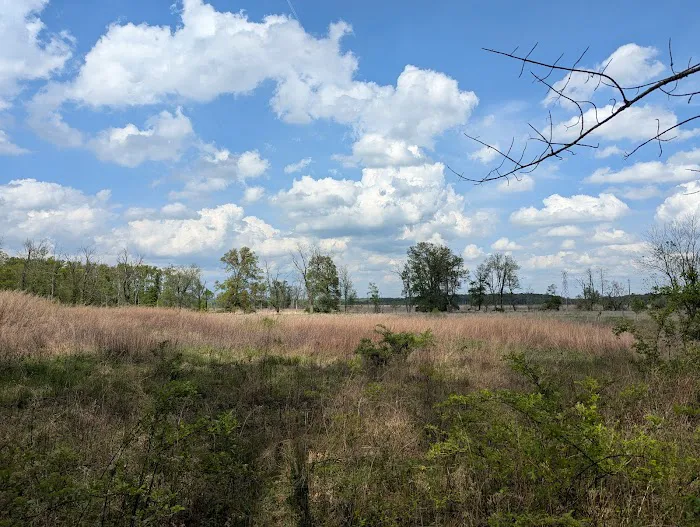 Troy Meadows Nature Preserve Picture 9