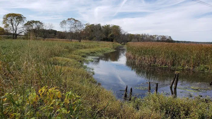 Troy Meadows Nature Preserve Picture 5