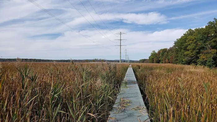 Troy Meadows Nature Preserve Picture 6