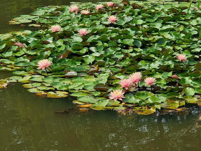 Littell's Pond Park Picture 1