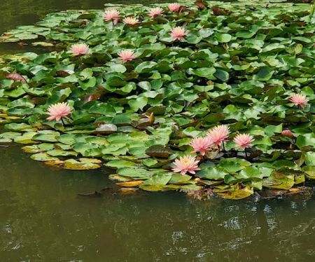 Littell's Pond Park