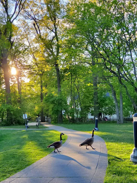 Littell's Pond Park Picture 8