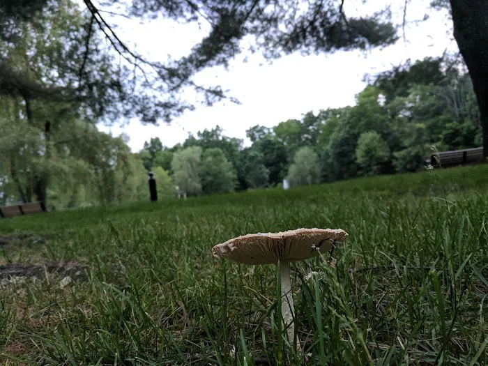 Littell's Pond Park Picture 5