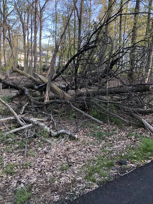 Livingston Walking Trails Picture 6