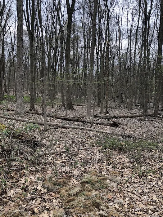 Livingston Walking Trails Picture 4