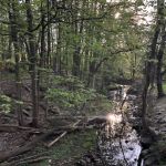 Livingston Walking Trails