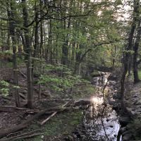 Livingston Walking Trails ico