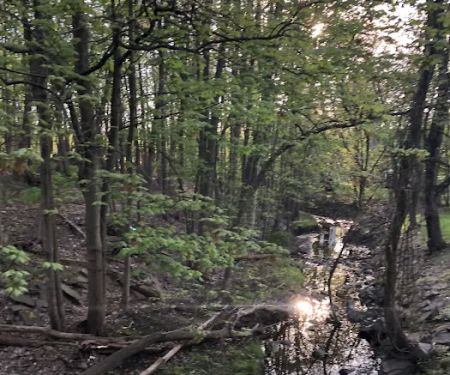Livingston Walking Trails