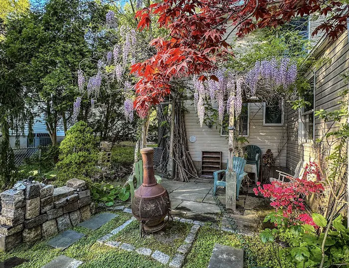 Nippon Garten Picture 2