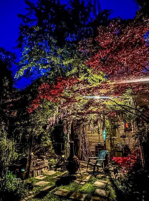 Nippon Garten Picture 7