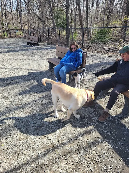 Livingston Dog Park Picture 6