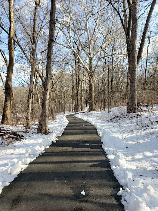 Central Park Picture 10
