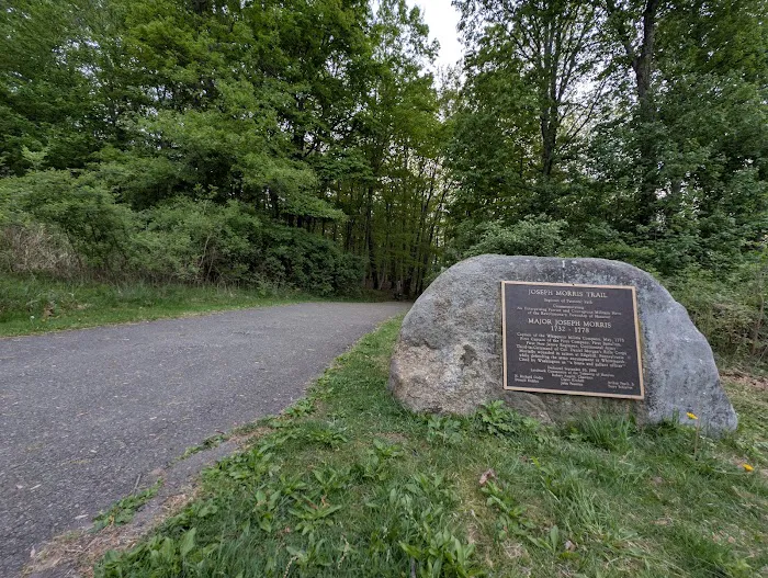 Central Park Picture 4